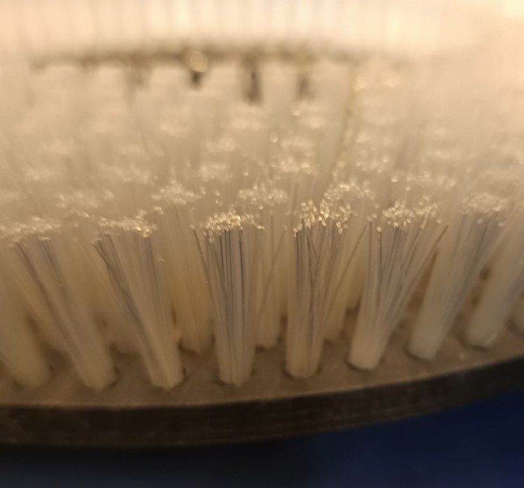 szczotka free evo włosie.jpg